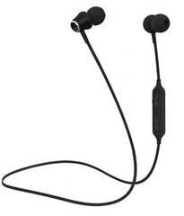 CELLY BLUETOOTH STEREO EARPHONES BLACK hind ja info | Kõrvaklapid | kaup24.ee