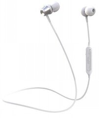 CELLY BLUETOOTH STEREO EARPHONES WHITE hind ja info | Kõrvaklapid | kaup24.ee