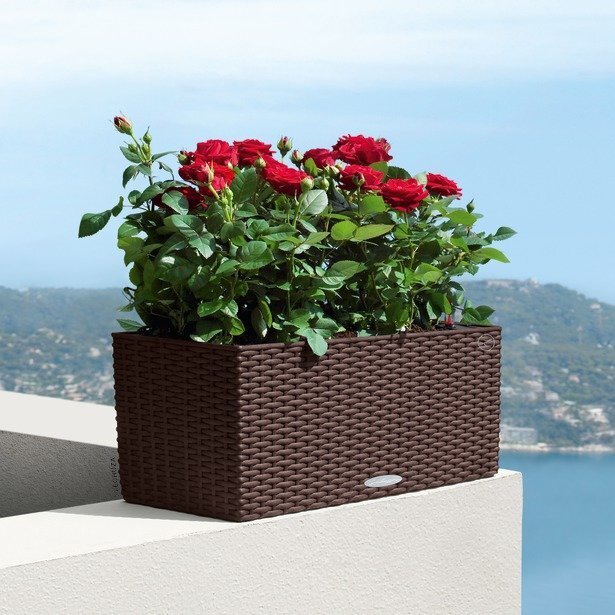 Lechuza pott Balconera Cottage 50, 19 cm hind ja info | Lillekastid | kaup24.ee