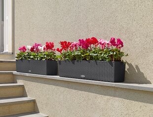 Lechuza pott Balconera Cottage 80, 19 cm hind ja info | Lillekastid | kaup24.ee