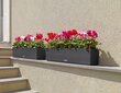 Lechuza pott Balconera Cottage 80, 19 cm цена и информация | Lillekastid | kaup24.ee