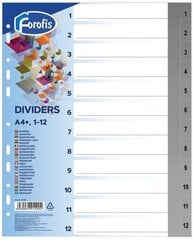 Eralduslehed FOROFIS, 1-12, värviline, A4+ цена и информация | Тетради и бумажные товары | kaup24.ee