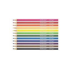 Värvilised pliiatsid ERICH KRAUSE Art Berry, kolmnurkne, 12 värvi hind ja info | Kunstitarbed, voolimise tarvikud | kaup24.ee