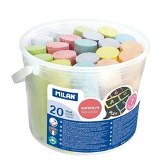 Мелка 247120 Разноцветный (20 pcs) (Пересмотрено C) цена и информация | Принадлежности для рисования, лепки | kaup24.ee