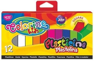 Plastiliin COLORINO, ruut, 12 värvi hind ja info | Kunstitarbed, voolimise tarvikud | kaup24.ee