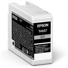 EPSON Singlepack Gray T46S7 UltraChrome Pro 10 ink 26ml (C13T46S700), серый цена и информация | Картриджи для струйных принтеров | kaup24.ee