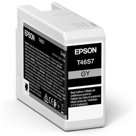 Epson UltraChrome Pro 10 ink T46S7 Ink c hind ja info | Tindiprinteri kassetid | kaup24.ee