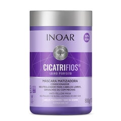 Kollaseid toone neutraliseeriv mask Inoar CicatriFios Perfect Blond 800 g hind ja info | Maskid, õlid, seerumid | kaup24.ee