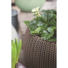 Горшок для цветов подвесной Cosy S With Hanging Set коричневый цена и информация | Вазоны | kaup24.ee