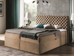 Kontinentaalvoodi CHESTERFIELD 200x200 + kattemadrats цена и информация | Кровати | kaup24.ee