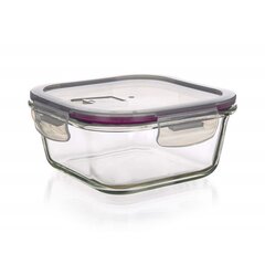 Klaasist hermeetiline nõu 300 ml, LORA цена и информация | Посуда для хранения еды | kaup24.ee