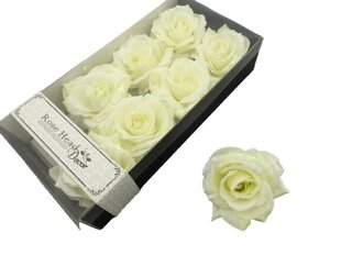 Цветки розы в коробочке цена и информация | Искусственные цветы | kaup24.ee