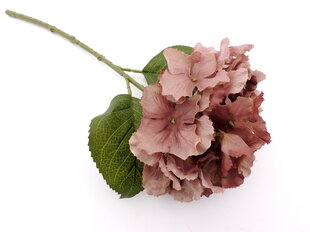 Varrega hortensia hind ja info | Kunstlilled | kaup24.ee