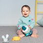 Sorteerija-püramiid Jänes Taf Toys hind ja info | Imikute mänguasjad | kaup24.ee