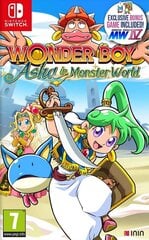 Switch Wonder Boy: Asha in Monster World hind ja info | Arvutimängud, konsoolimängud | kaup24.ee