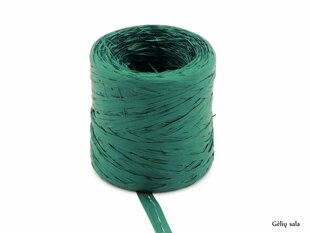 Kunst raffia basic Pino hind ja info | Floristlika materjalid | kaup24.ee