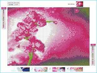 Алмазная картина-мозаика 5D набор (клеика страз) 30x40 см DK41175 цена и информация | Алмазная мозаика | kaup24.ee