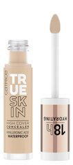 Peitekreem Catrice True Skin, 4,5 ml цена и информация | Пудры, базы под макияж | kaup24.ee