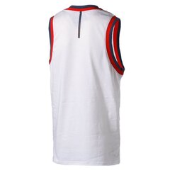 Meeste T-särk Puma Fadeaway Jersey 59874505, valge цена и информация | Мужская спортивная одежда | kaup24.ee