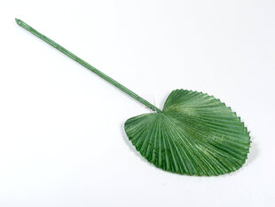 Пальмовый лист, зелёный цена и информация | Искусственные цветы | kaup24.ee