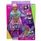 Barbie® Extra nukk - Pink Braids GXF09 цена и информация | Tüdrukute mänguasjad | kaup24.ee