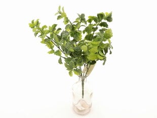 Кустик зелени цена и информация | Искусственные цветы | kaup24.ee