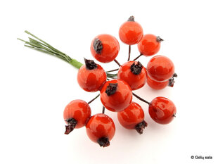 Гроздь красных ягод цена и информация | Принадлежности для флористики | kaup24.ee