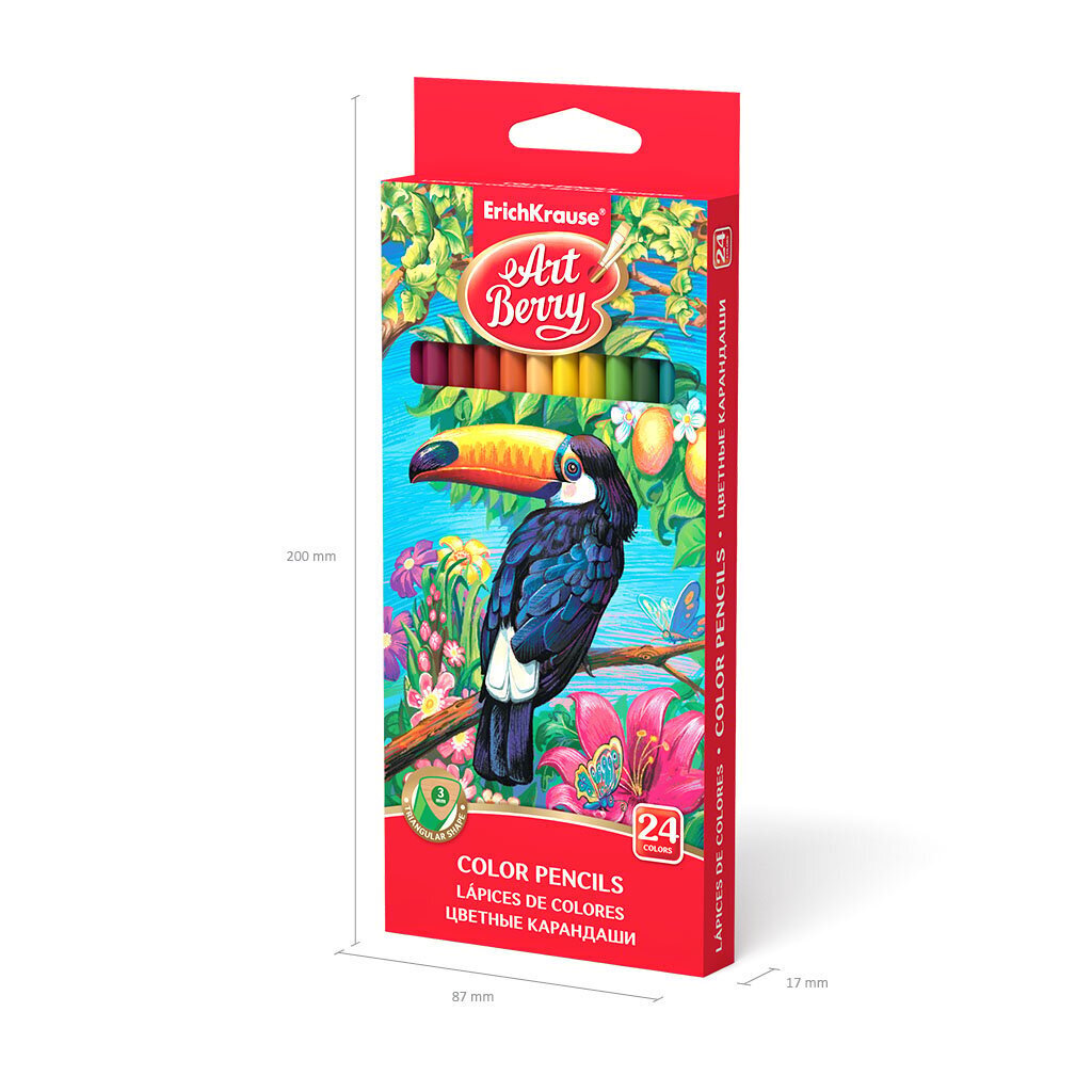 Värvilised pliiatsid ERICH KRAUSE Art Berry, kolmnurkne, 24 värvi цена и информация | Kunstitarbed, voolimise tarvikud | kaup24.ee