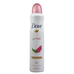 Pihustatav deodorant Dove Go Fresh Pomegrante & Lemon, 250 ml hind ja info | Deodorandid | kaup24.ee