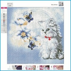 Алмазная картина-мозаика 5D набор (клеика страз) 30x30 см DK31070 цена и информация | Алмазная мозаика | kaup24.ee