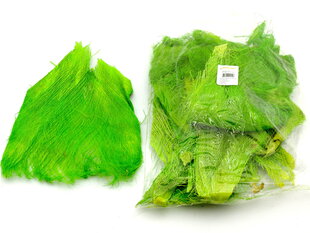 Palmikiud Bl-Col F.Green, roheline hind ja info | Floristlika materjalid | kaup24.ee