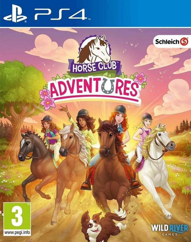 PlayStation 4 mäng Horse Club Adventures цена и информация | Arvutimängud, konsoolimängud | kaup24.ee