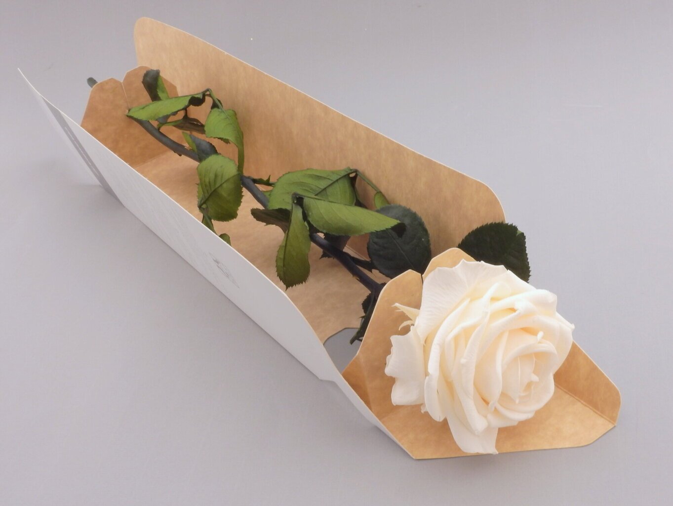 Stabiliseeritud roos Premium, 55x7 cm цена и информация | Uinuvad roosid, taimed | kaup24.ee