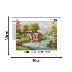 Алмазная картина-мозаика 5D набор (клеика страз) 30x40 см цена и информация | Алмазная мозаика | kaup24.ee