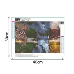 Алмазная картина-мозаика 5D набор (клеика страз) 30x40 см DK41151 цена и информация | Алмазная мозаика | kaup24.ee