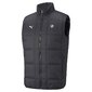 Vest PUMA BMW M Motorsport 531171014063699254235 цена и информация | Meeste joped | kaup24.ee