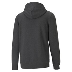 Mужская толстовка Puma Big Logo Hoodie 586686074063697320048 цена и информация | Мужские толстовки | kaup24.ee