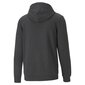 Meeste dressipluus PUMA Big Logo Hoodie 586686074063697320048 цена и информация | Meeste pusad | kaup24.ee