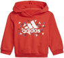 Adidas Spordikostüümid I Bos Gra Jog Blue Red H28842/92 цена и информация | Komplektid poistele | kaup24.ee