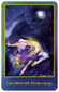 Taro kaardid Goddess On The Go hind ja info | Esoteerika | kaup24.ee