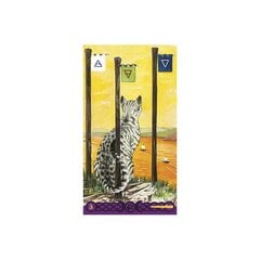 Taro kaardid Tarot Of Pagan Cats hind ja info | Esoteerika | kaup24.ee