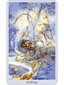 Taro kaardid Shadowscapes hind ja info | Esoteerika | kaup24.ee