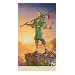 Taro kaardid Vice Versa Tarot hind ja info | Esoteerika | kaup24.ee