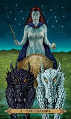 Карты Таро Celtic Tarot цена и информация | Эзотерика | kaup24.ee