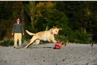 CHUCKIT KOERA MÄNGUASI PALL KICK FETCH L hind ja info | Mänguasjad koertele | kaup24.ee