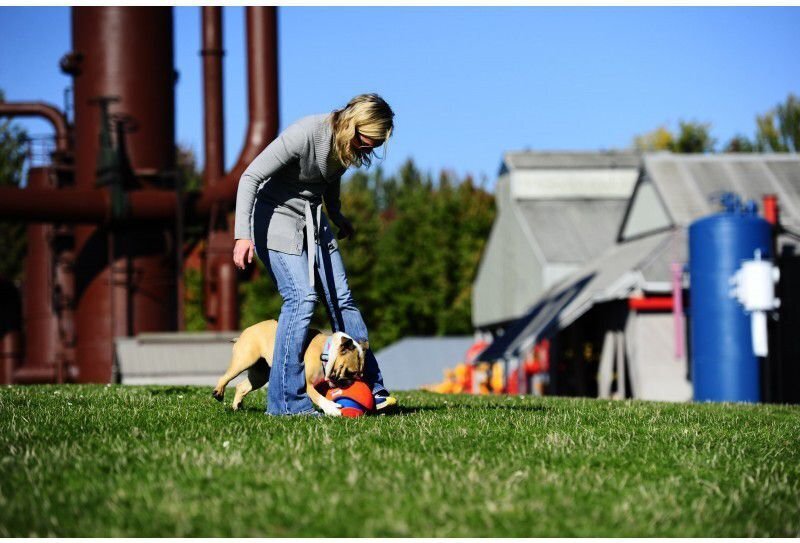 CHUCKIT KOERA MÄNGUASI PALL KICK FETCH L цена и информация | Mänguasjad koertele | kaup24.ee