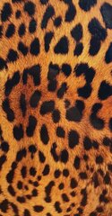 Kaitsekiled Evelatus    Universal    Leopard Colorful Film for Screen Cutter цена и информация | Чехлы для телефонов | kaup24.ee