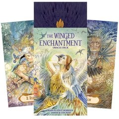 Taro kaardid The Winged Enchantment hind ja info | Esoteerika | kaup24.ee