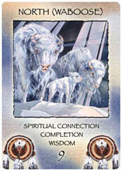 Taro kaardid Meditation Spirit Of The Wheel hind ja info | Esoteerika | kaup24.ee