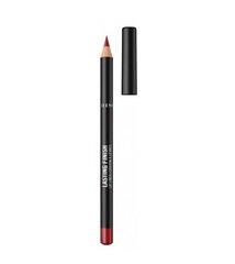 Карандаш для губ Rimmel London Lasting Finish, 1,2 г, 580 Bitten Red цена и информация | Помады, бальзамы, блеск для губ | kaup24.ee